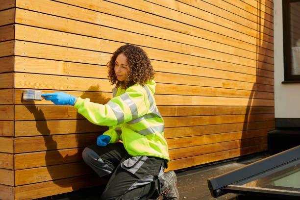 Best Fiber Cement Siding Installation  in Clinton, AR